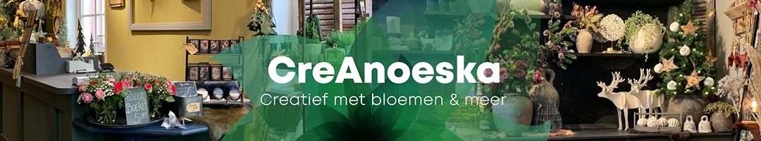 Logo CreAnoeska