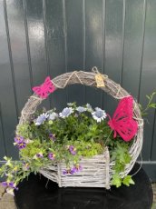 Hengselmand vrolijk opgemaakt