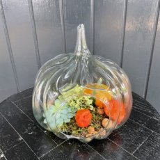 0609202501 Glazen pompoen  opgevuld