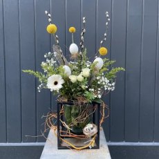 2026022605 Diy pakket voorjaarswindlicht