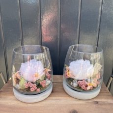 Glas met onderbord gevuld met pioenroos